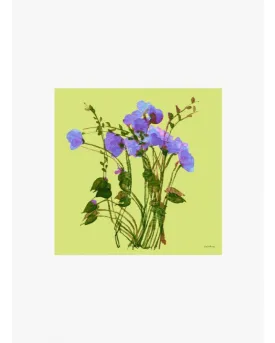 Cinzia Rocca Green Floral Silk Scarf